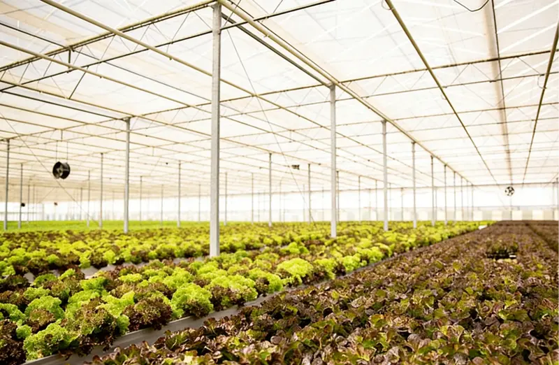 Irrigation water quality optimization