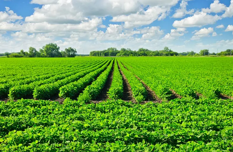 Efficient irrigation business operations